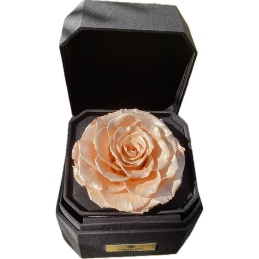 Rosa Eterna Satinada Sat Pea – Gift Box Premium