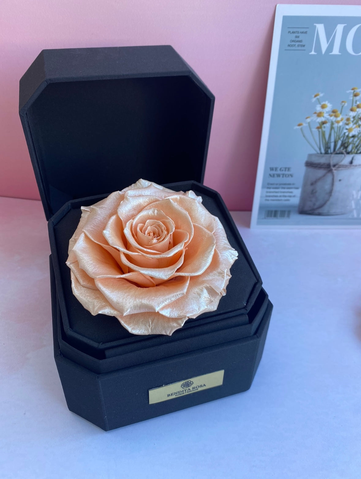Rosa Eterna Satinada Sat Pea – Gift Box Premium